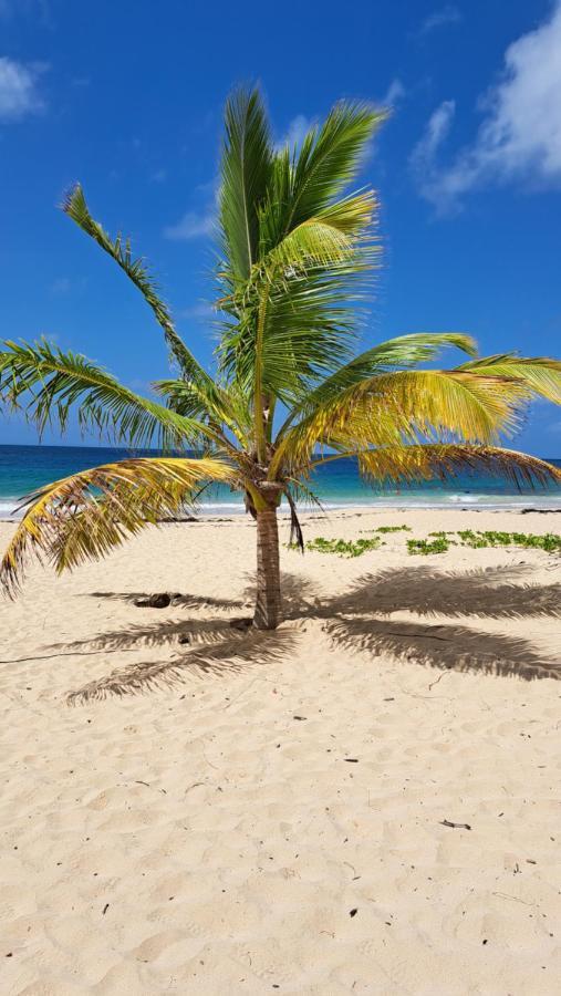 Studio Plage De L'Anse Caritan Sainte-Anne Exterior foto