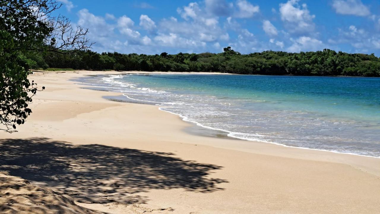 Studio Plage De L'Anse Caritan Sainte-Anne Exterior foto